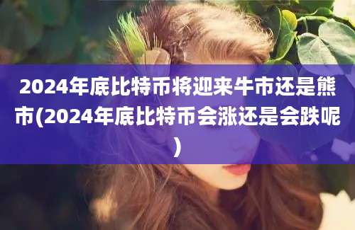 2024年底比特币将迎来牛市还是熊市(2024年底比特币会涨还是会跌呢)