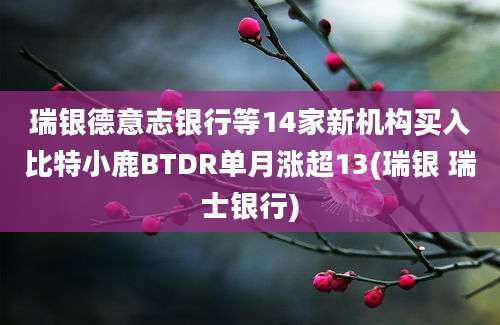 瑞银德意志银行等14家新机构买入比特小鹿BTDR单月涨超13(瑞银 瑞士银行)