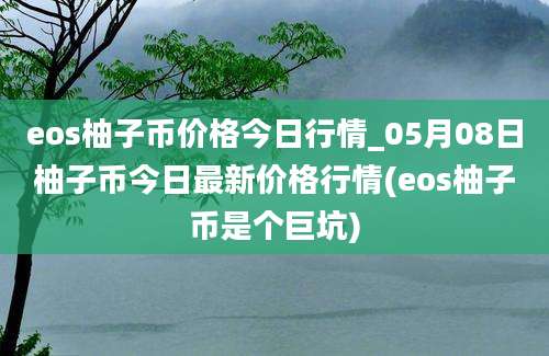 eos柚子币价格今日行情_05月08日柚子币今日最新价格行情(eos柚子币是个巨坑)