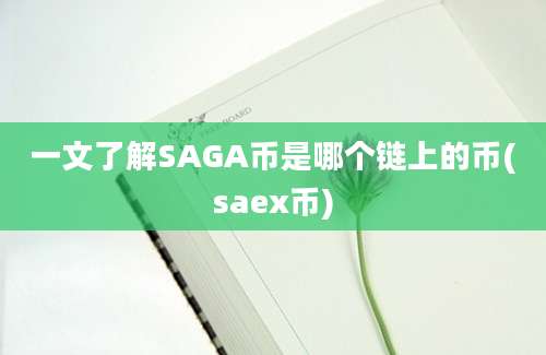 一文了解SAGA币是哪个链上的币(saex币)