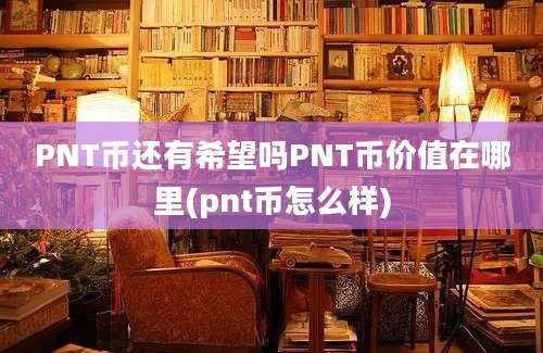 PNT币还有希望吗PNT币价值在哪里(pnt币怎么样)