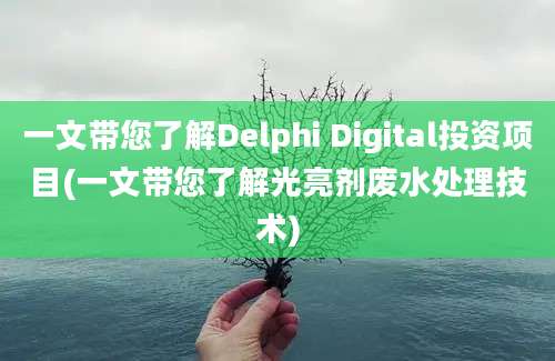 一文带您了解Delphi Digital投资项目(一文带您了解光亮剂废水处理技术)