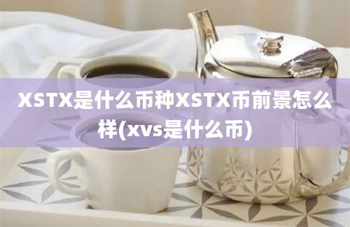 XSTX是什么币种XSTX币前景怎么样(xvs是什么币)