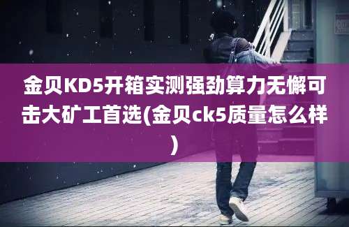 金贝KD5开箱实测强劲算力无懈可击大矿工首选(金贝ck5质量怎么样)