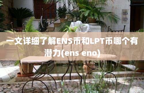 一文详细了解ENS币和LPT币哪个有潜力(ens eno)