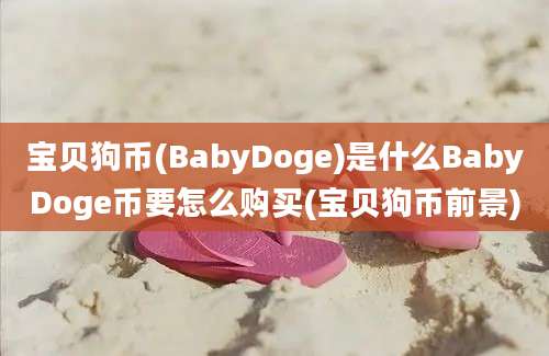 宝贝狗币(BabyDoge)是什么BabyDoge币要怎么购买(宝贝狗币前景)