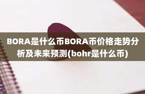 BORA是什么币BORA币价格走势分析及未来预测(bohr是什么币)