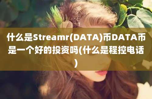 什么是Streamr(DATA)币DATA币是一个好的投资吗(什么是程控电话)