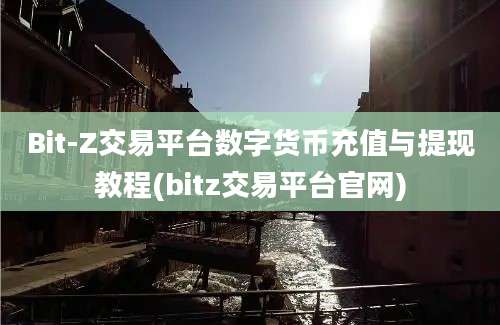 Bit-Z交易平台数字货币充值与提现教程(bitz交易平台官网)