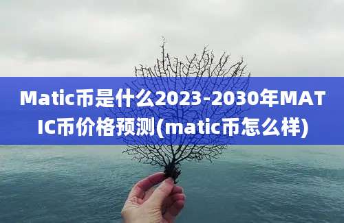 Matic币是什么2023-2030年MATIC币价格预测(matic币怎么样)