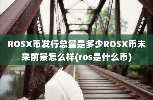 ROSX币发行总量是多少ROSX币未来前景怎么样(ros是什么币)