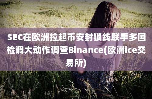 SEC在欧洲拉起币安封锁线联手多国检调大动作调查Binance(欧洲ice交易所)