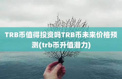 TRB币值得投资吗TRB币未来价格预测(trb币升值潜力)