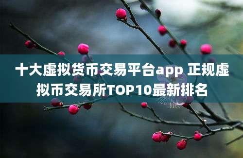 十大虚拟货币交易平台app 正规虚拟币交易所TOP10最新排名