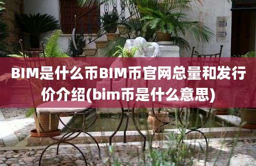 BIM是什么币BIM币官网总量和发行价介绍(bim币是什么意思)