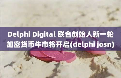 Delphi Digital 联合创始人新一轮加密货币牛市将开启(delphi josn)