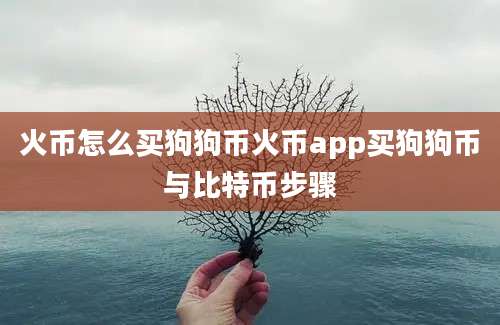 火币怎么买狗狗币火币app买狗狗币与比特币步骤