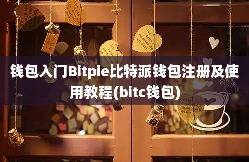 钱包入门Bitpie比特派钱包注册及使用教程(bitc钱包)