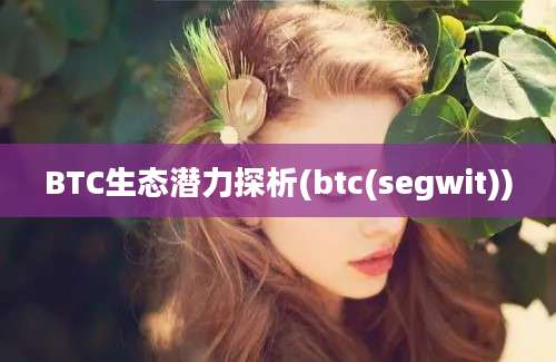 BTC生态潜力探析(btc(segwit))