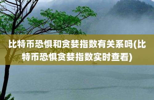 比特币恐惧和贪婪指数有关系吗(比特币恐惧贪婪指数实时查看)