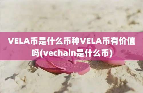 VELA币是什么币种VELA币有价值吗(vechain是什么币)