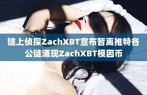 链上侦探ZachXBT宣布暂离推特各公链涌现ZachXBT模因币