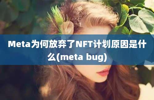 Meta为何放弃了NFT计划原因是什么(meta bug)