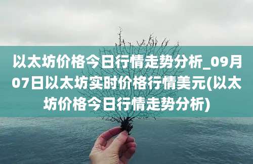 以太坊价格今日行情走势分析_09月07日以太坊实时价格行情美元(以太坊价格今日行情走势分析)