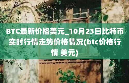 BTC最新价格美元_10月23日比特币实时行情走势价格情况(btc价格行情 美元)