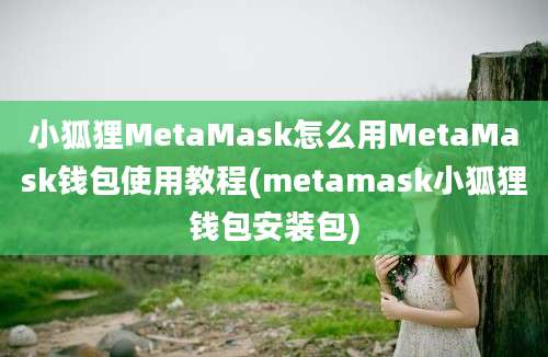 小狐狸MetaMask怎么用MetaMask钱包使用教程(metamask小狐狸钱包安装包)