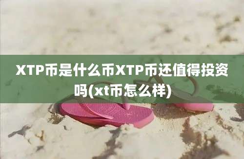 XTP币是什么币XTP币还值得投资吗(xt币怎么样)