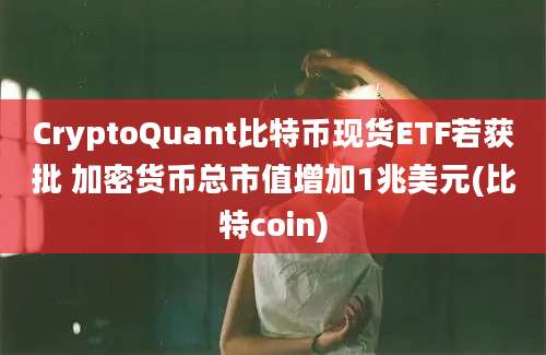 CryptoQuant比特币现货ETF若获批 加密货币总市值增加1兆美元(比特coin)