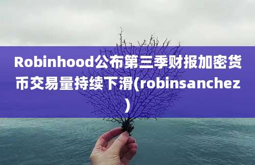 Robinhood公布第三季财报加密货币交易量持续下滑(robinsanchez)