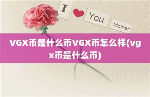 VGX币是什么币VGX币怎么样(vgx币是什么币)