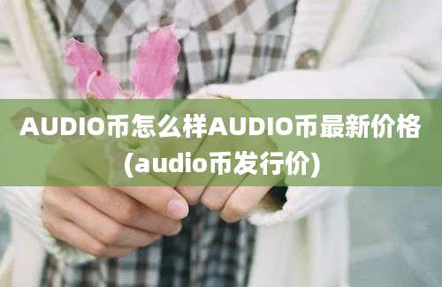 AUDIO币怎么样AUDIO币最新价格(audio币发行价)