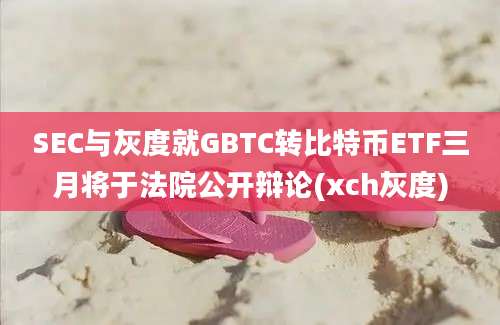 SEC与灰度就GBTC转比特币ETF三月将于法院公开辩论(xch灰度)