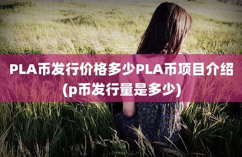 PLA币发行价格多少PLA币项目介绍(p币发行量是多少)