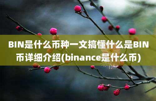 BIN是什么币种一文搞懂什么是BIN币详细介绍(binance是什么币)