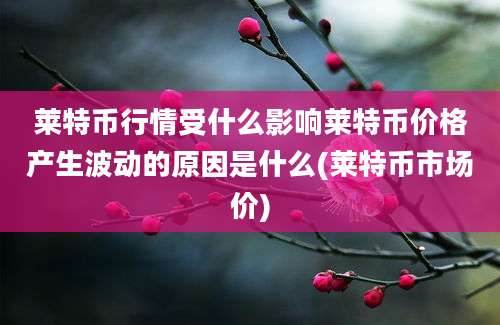 莱特币行情受什么影响莱特币价格产生波动的原因是什么(莱特币市场价)