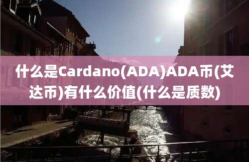 什么是Cardano(ADA)ADA币(艾达币)有什么价值(什么是质数)