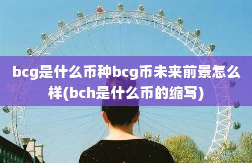 bcg是什么币种bcg币未来前景怎么样(bch是什么币的缩写)