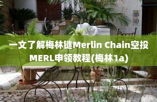 一文了解梅林链Merlin Chain空投MERL申领教程(梅林1a)