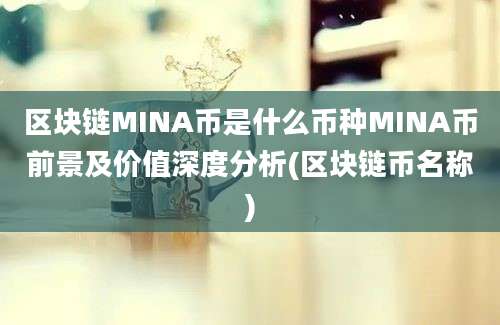 区块链MINA币是什么币种MINA币前景及价值深度分析(区块链币名称)