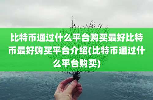 比特币通过什么平台购买最好比特币最好购买平台介绍(比特币通过什么平台购买)