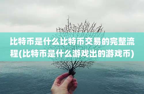 比特币是什么比特币交易的完整流程(比特币是什么游戏出的游戏币)