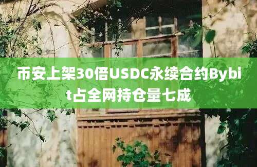 币安上架30倍USDC永续合约Bybit占全网持仓量七成