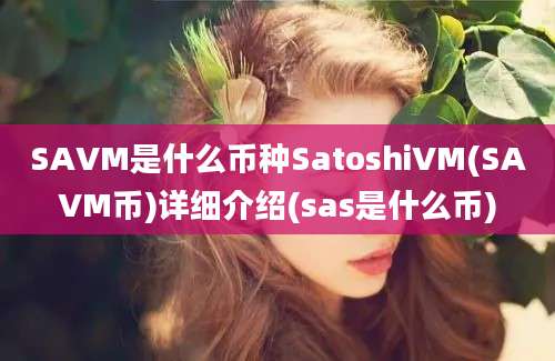 SAVM是什么币种SatoshiVM(SAVM币)详细介绍(sas是什么币)