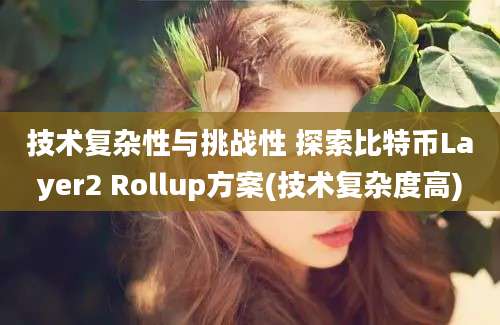 技术复杂性与挑战性 探索比特币Layer2 Rollup方案(技术复杂度高)