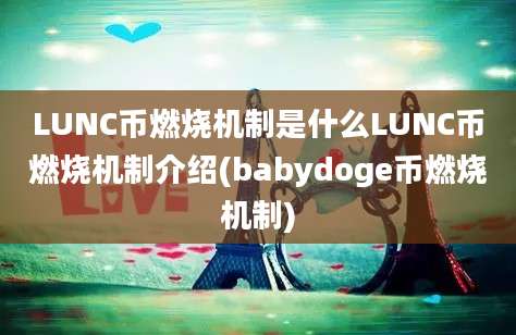 LUNC币燃烧机制是什么LUNC币燃烧机制介绍(babydoge币燃烧机制)