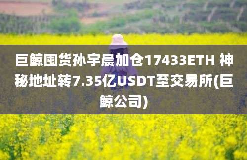 巨鲸囤货孙宇晨加仓17433ETH 神秘地址转7.35亿USDT至交易所(巨鲸公司)